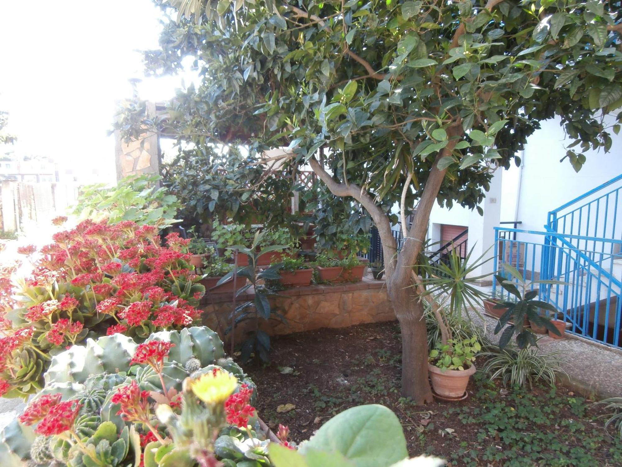Busalacchi B&B Mondello Exterior foto